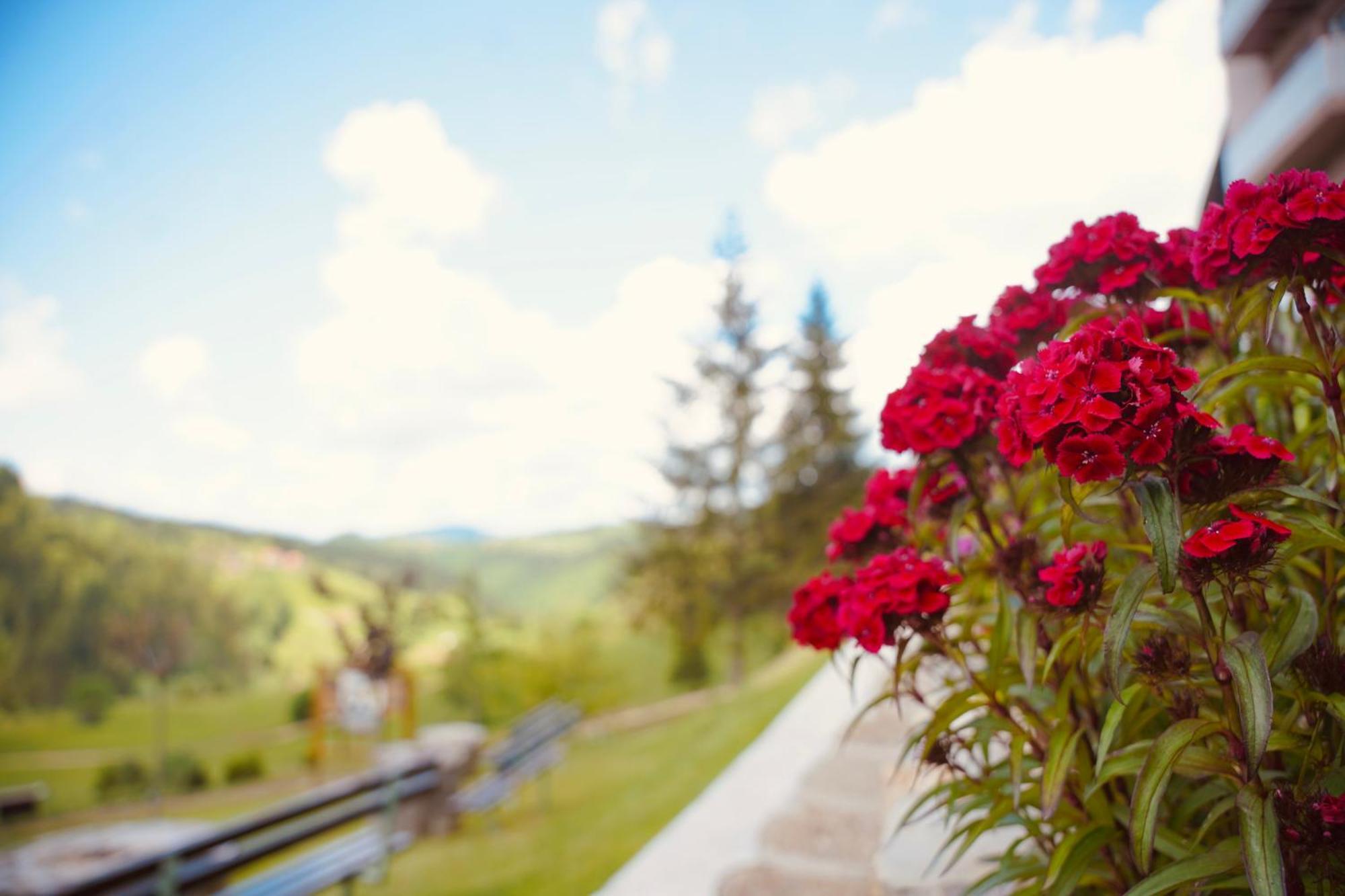 Hotel Zlatarska Kruna Nova Varoš Zewnętrze zdjęcie